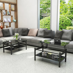 Modern Simple 2-Layer Tempered Glass Coffee Table - Black