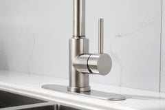 Kitchen Faucet with Pull Down Sprayer - Brushed Nickel