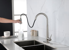 High Arc Single Handle Kitchen Sink Faucet with Deck Plate - Brushed Nickel