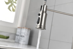 Single Handle Single Lever Pull Down Sprayer Spring Kitchen Sink Faucet - Brushed Nickel