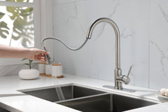 Kitchen Faucet with Pull Down Sprayer - Brushed Nickel