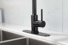Kitchen Faucet with Pull Down Sprayer - Matt Black