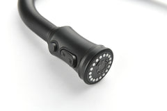 Single Level Stainless Steel Kitchen Sink Faucets with Pull Down Sprayer - Matt Black