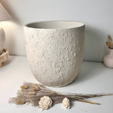 13.5" Minimalist Hand-Painted & Textured Planter Pot with Drainage Hole one time creation - Cream