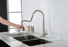 High Arc Single Handle Kitchen Sink Faucet with Deck Plate - Brushed Nickel