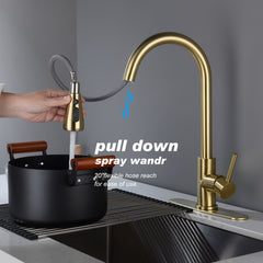 Kitchen Faucet with Pull Out Sprayer - Gold