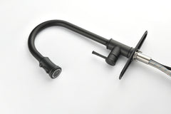 Single Level Stainless Steel Kitchen Sink Faucets with Pull Down Sprayer - Matt Black