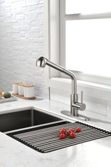 Single Handle Kitchen Sink Faucet with Pull Out Sprayer - Brushed Nickel