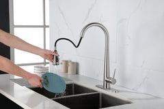 High Arc Single Handle Kitchen Sink Faucet with Deck Plate - Brushed Nickel