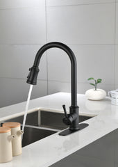 Single Level Stainless Steel Kitchen Sink Faucets with Pull Down Sprayer - Matt Black