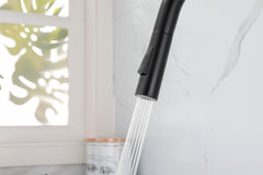 Kitchen Faucet with Pull Down Sprayer - Matt Black
