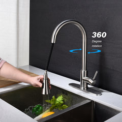 Kitchen Faucet with Pull Out Sprayer - Brushed Nickel
