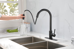 Kitchen Faucet with Pull Down Sprayer - Matt Black