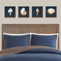 Ocean Seashells 4-piece Framed Canvas Wall Art Set