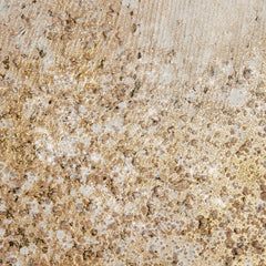 Golden Glimmer Heavily Embellished 2-piece Canvas Wall Art Set