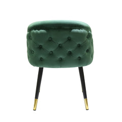 Contemporary Green & Black/Gold Dining Chair (Set of 2)