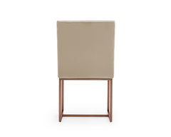 Modern Beige & Brush Gold Dining Chair (Set of 2)