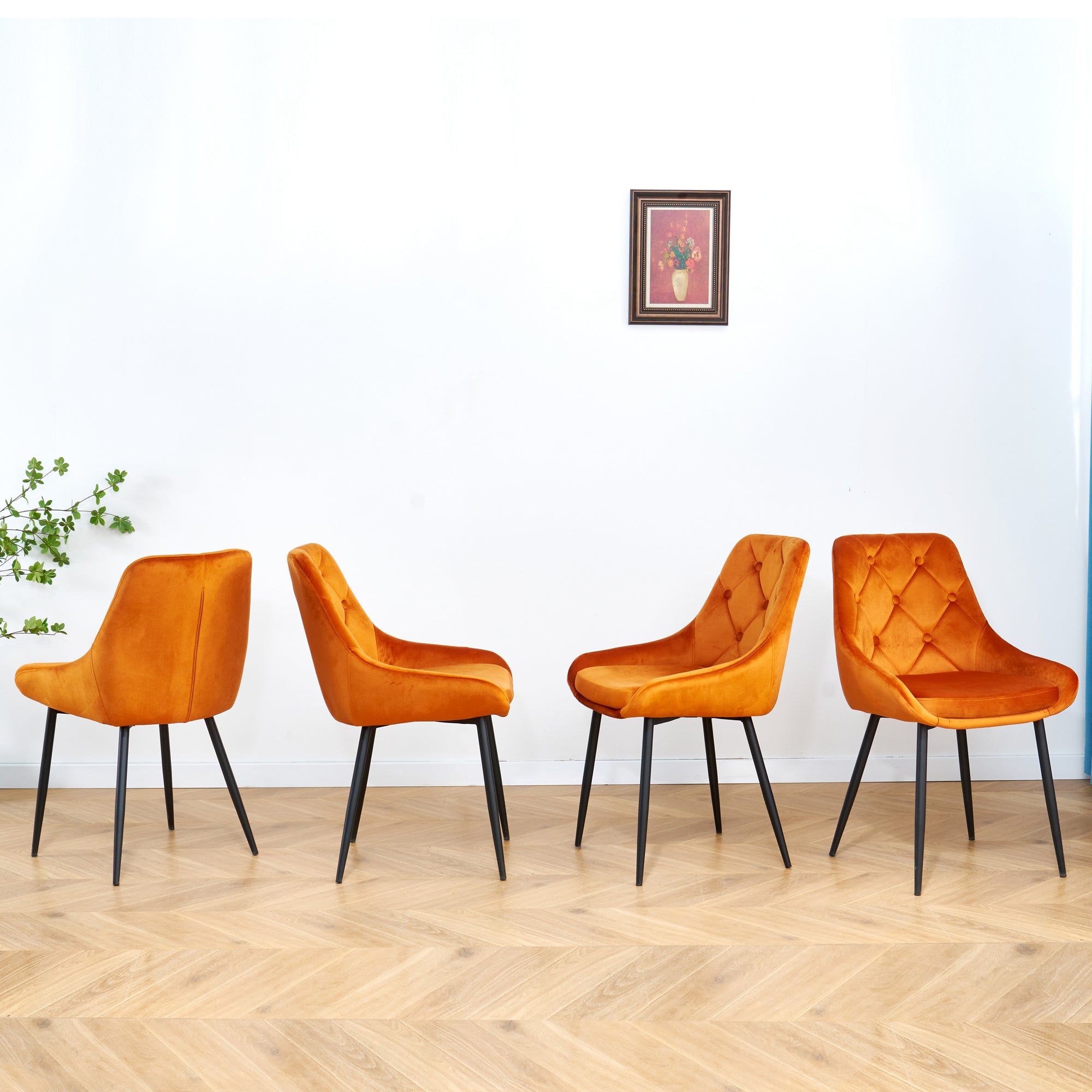 Modern Orange Velvet Dining Chairs with Black Legs (Set of 2) - Orange