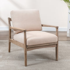 Modern Accent Lounge Chair