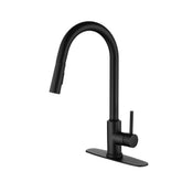 Kitchen Faucet with Pull Down Sprayer - Matt Black