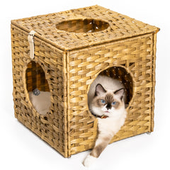 Rattan Cat Litter or Bed with Rattan Ball and Cushion - Natural Brown