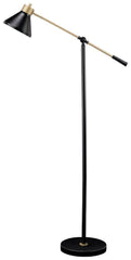 Finish Contemporary Floor Lamp