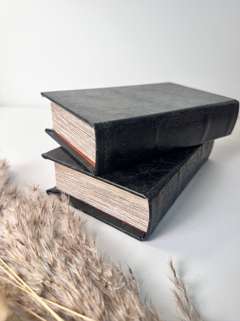 Set of 2 Decorative book Black with Box inside