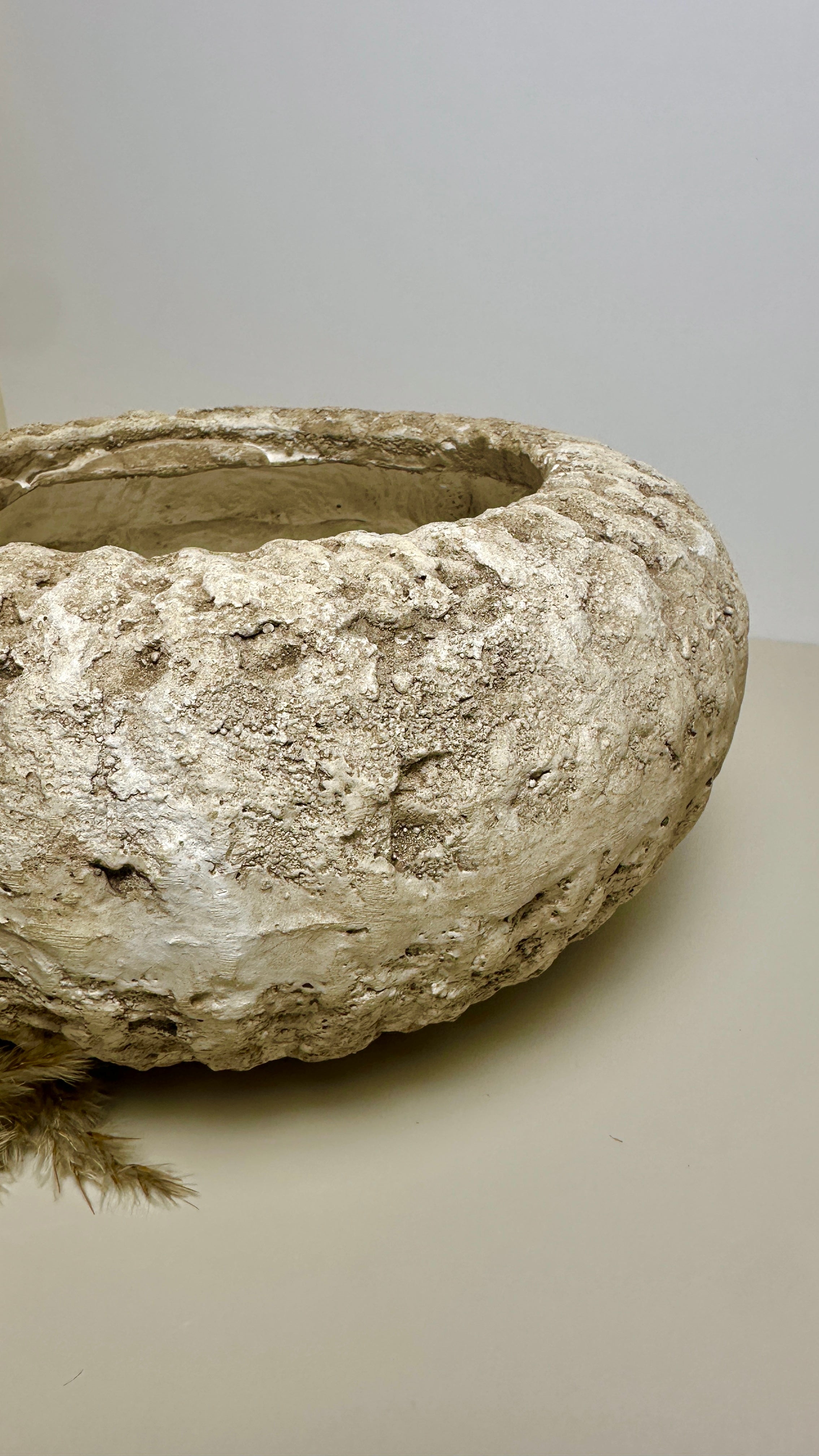 Rustic terracotta concrete bowl planter vase natural finish