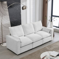 Teddy Fabric Couch 3 Seat Sofa with Removable Back and Seat Cushions and 2 Pillows