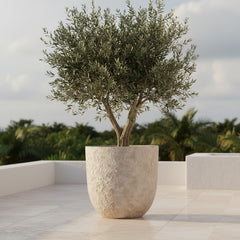 17" tall Minimalist Hand-Painted & Textured Planter Pot with drainage hole - cream wash