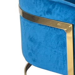 Elegant Blue and Gold Sofa Chair