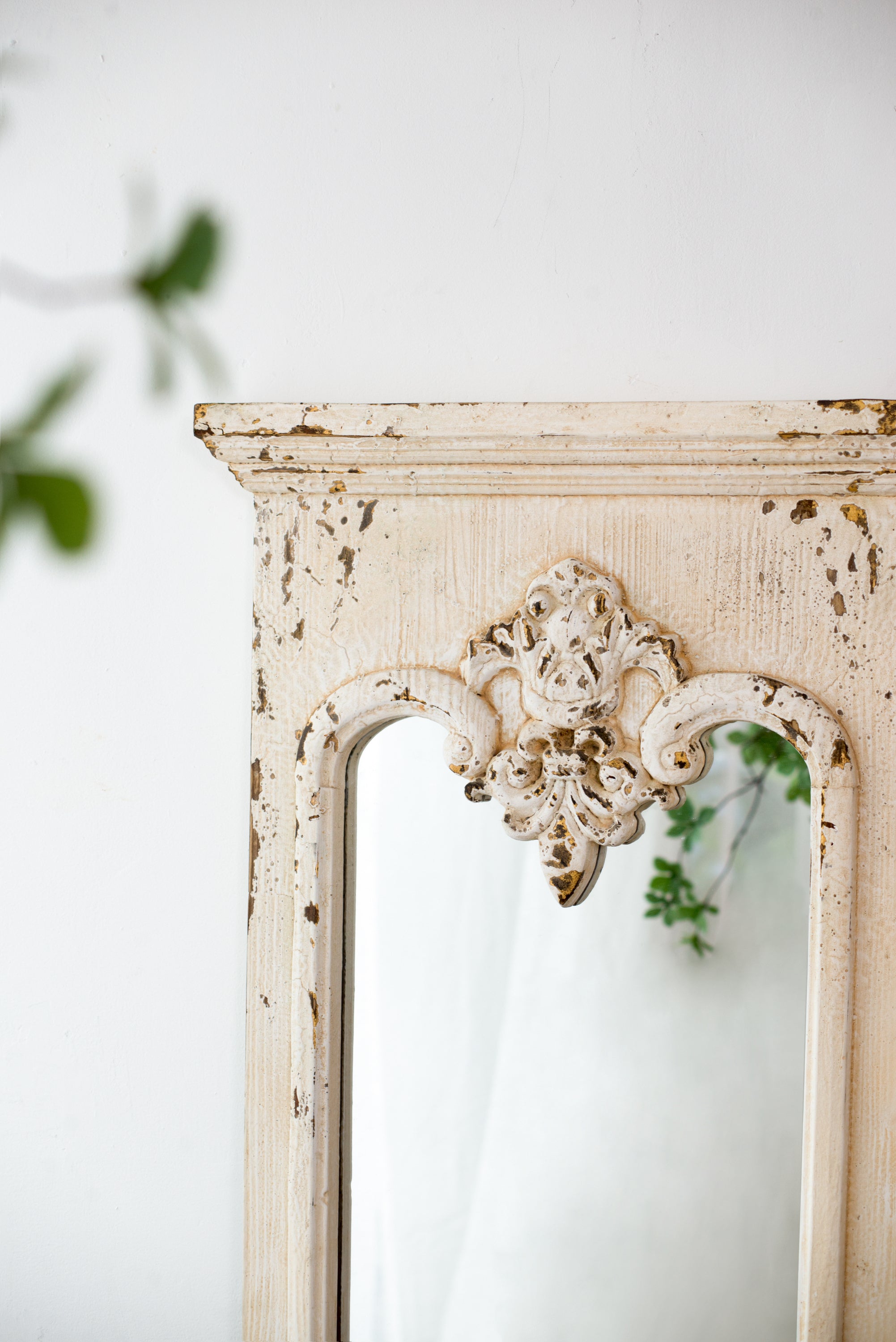 French Country Style Full Length Mirror with Solid Wood Frame 21.5"x59"