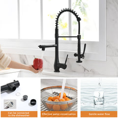 Single Handle Kitchen Sink Faucet - Black and Silver
