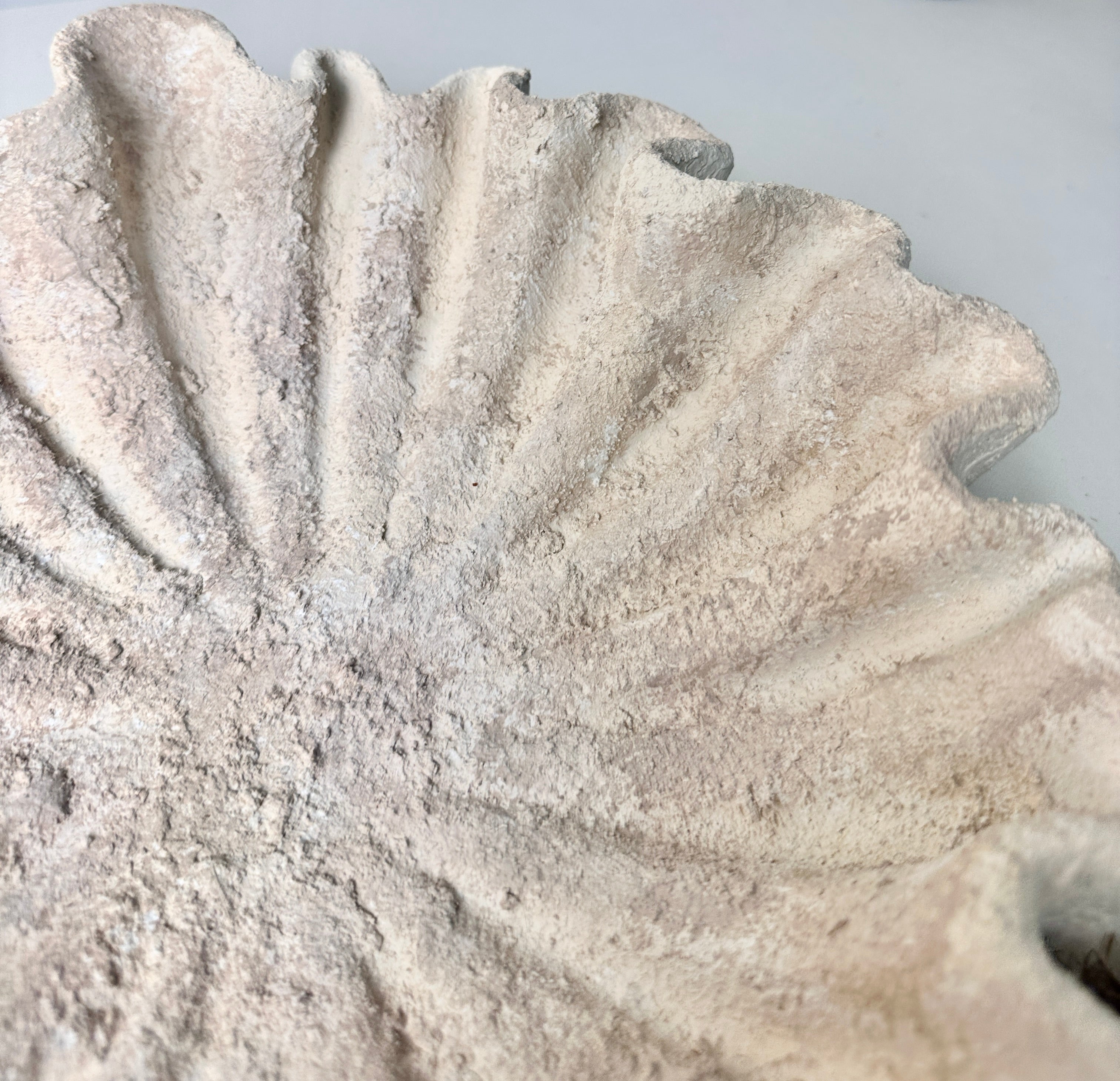 Minimalist Textured Flower Bowl Shape Tray 12x12x3“ - Cream