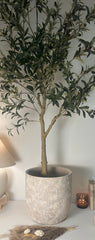 13.5" tall Minimalist Hand-Painted & Textured Planter Pot with Drainage Hole - Soji Beige Wash