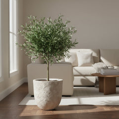 13.5" tall Minimalist Hand-Painted & Textured Planter Pot with drainage hole - French Beige