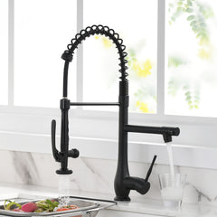 Single Handle Kitchen Sink Faucet - Black and Silver