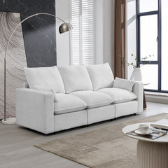 Teddy Fabric Couch 3 Seat Sofa with Removable Back and Seat Cushions and 2 Pillows