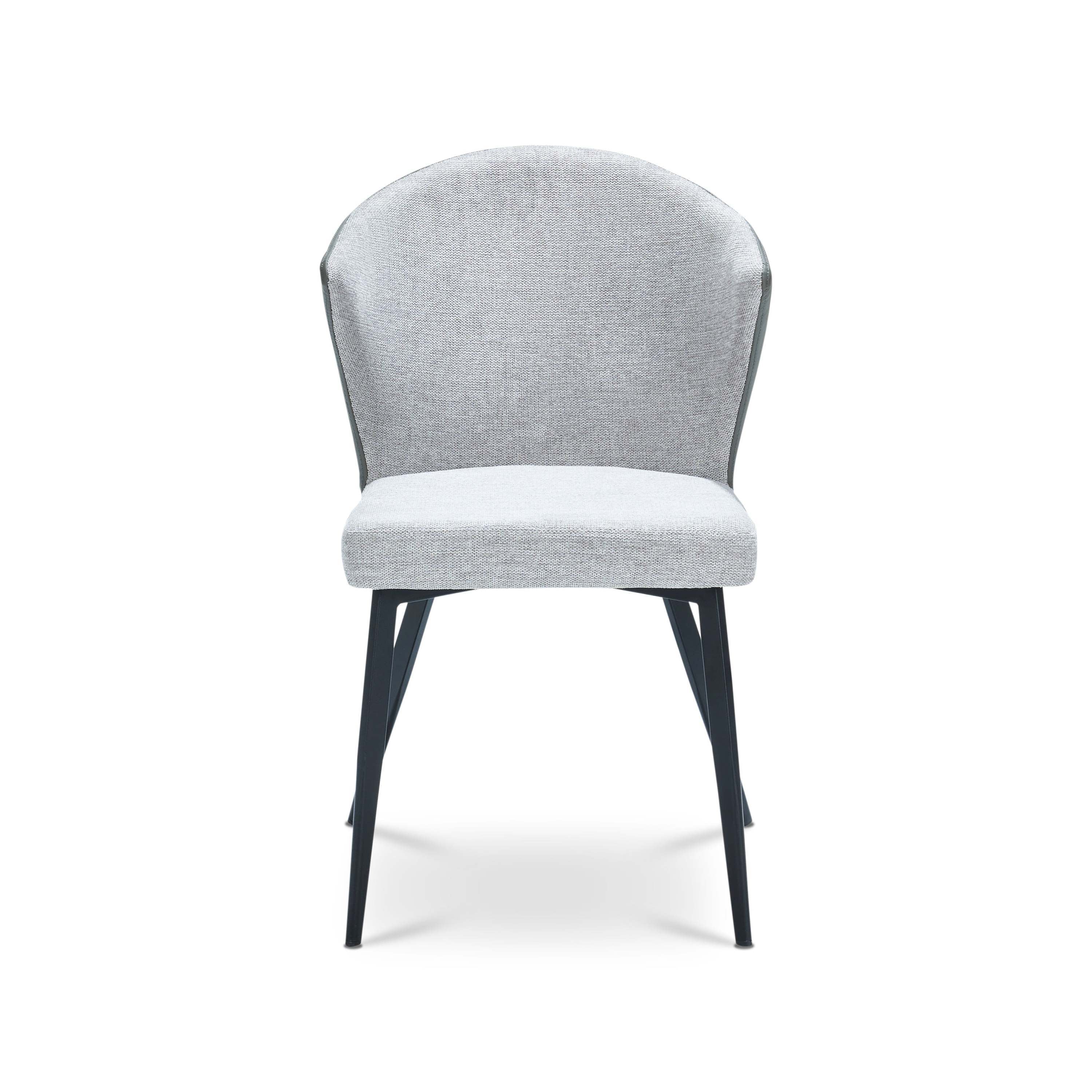 Set of 2 - Modern Minimalist Gray Dining Chairs, Carbon Steel Legs