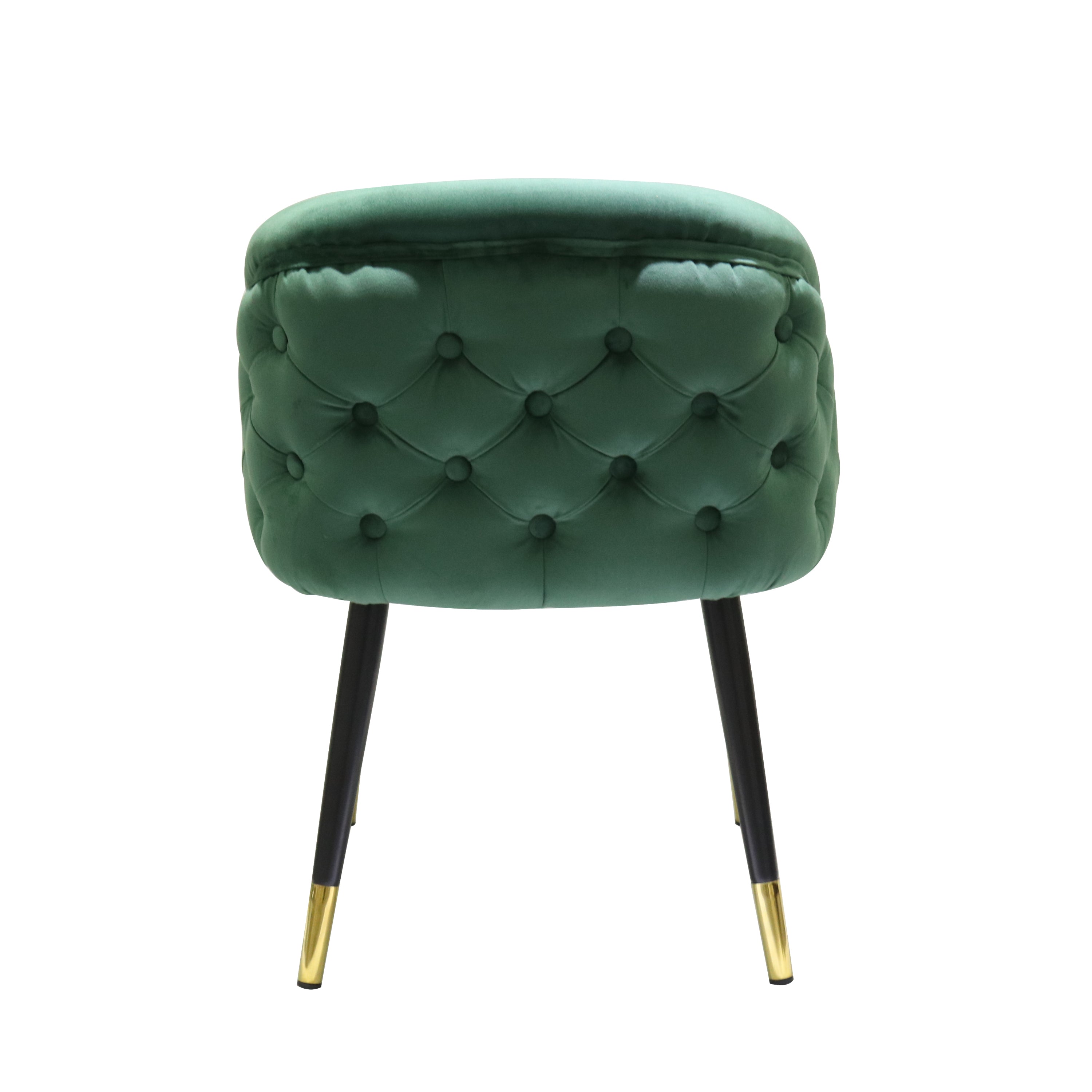 Contemporary Green & Black/Gold Dining Chair (Set of 2)