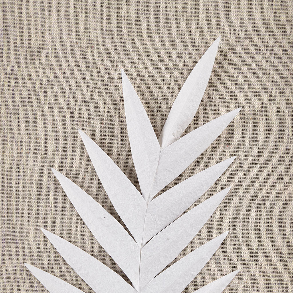 Sabal Framed Rice Paper Palm Leaves 3-piece Shadowbox Wall Decor Set - Natural & White