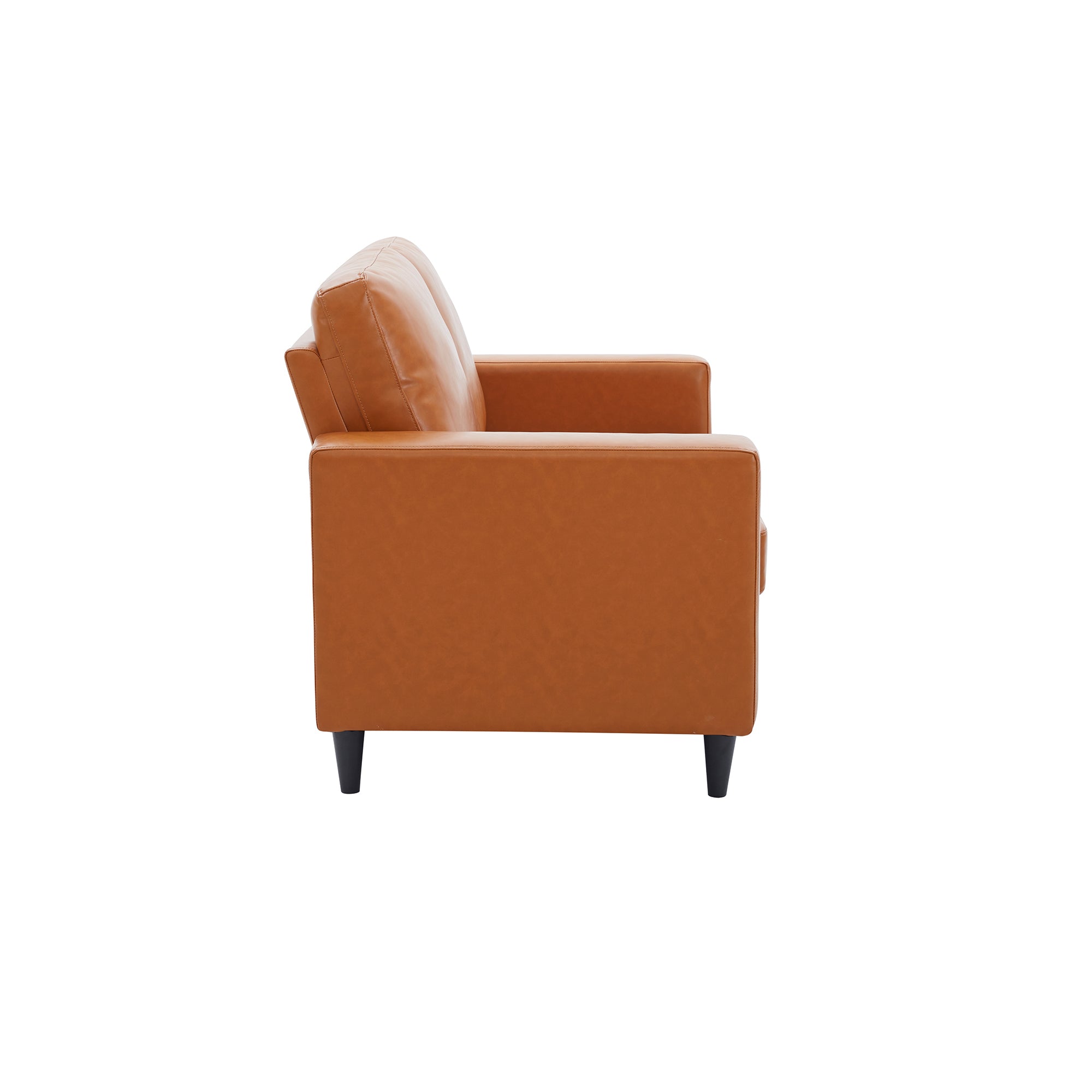 Loveseat Sofa