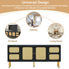 Rattan Door TV Stand