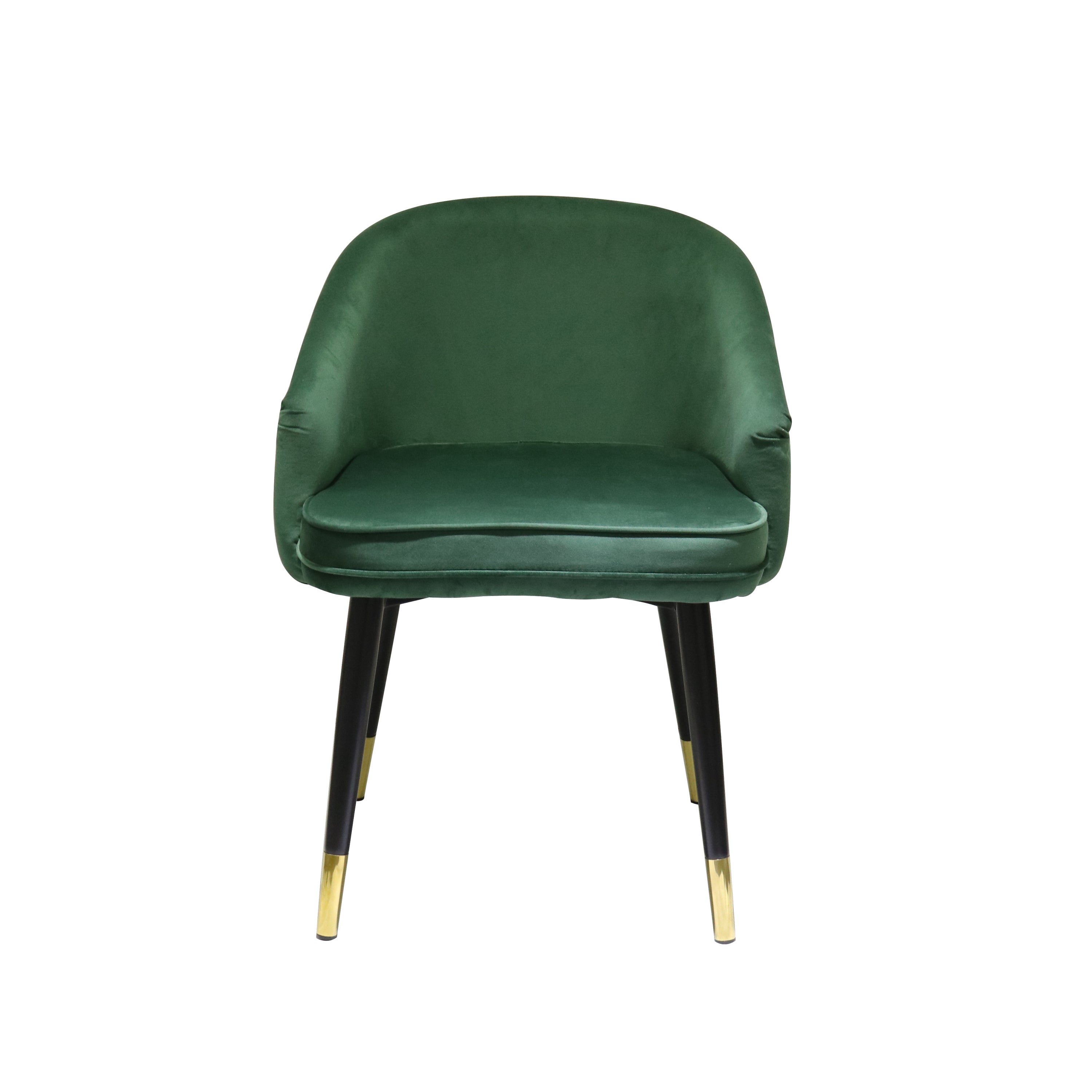 Contemporary Green & Black/Gold Dining Chair (Set of 2)