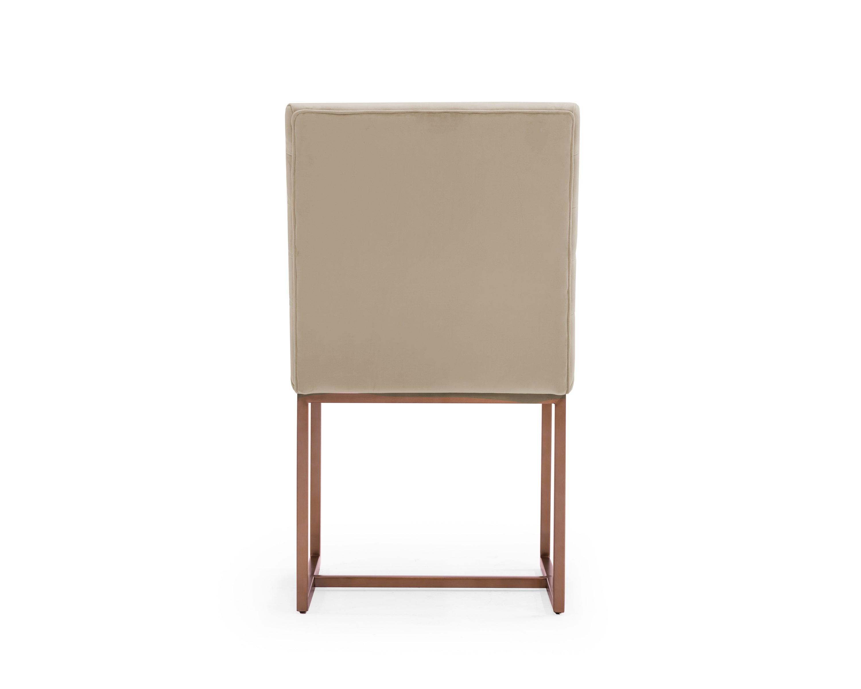 Modern Beige & Brush Gold Dining Chair (Set of 2)