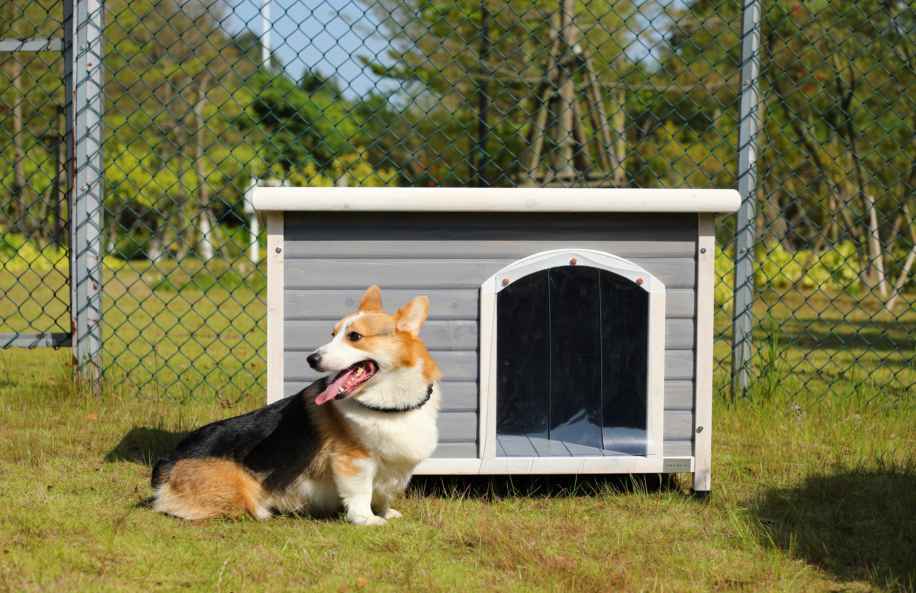 Wooden Dog Houses Weatherproof for Medium Dog