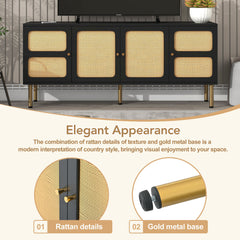 Rattan Door TV Stand
