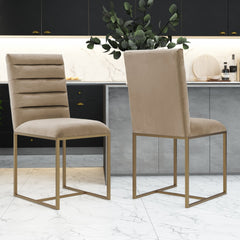 Modern Beige & Brush Gold Dining Chair (Set of 2)