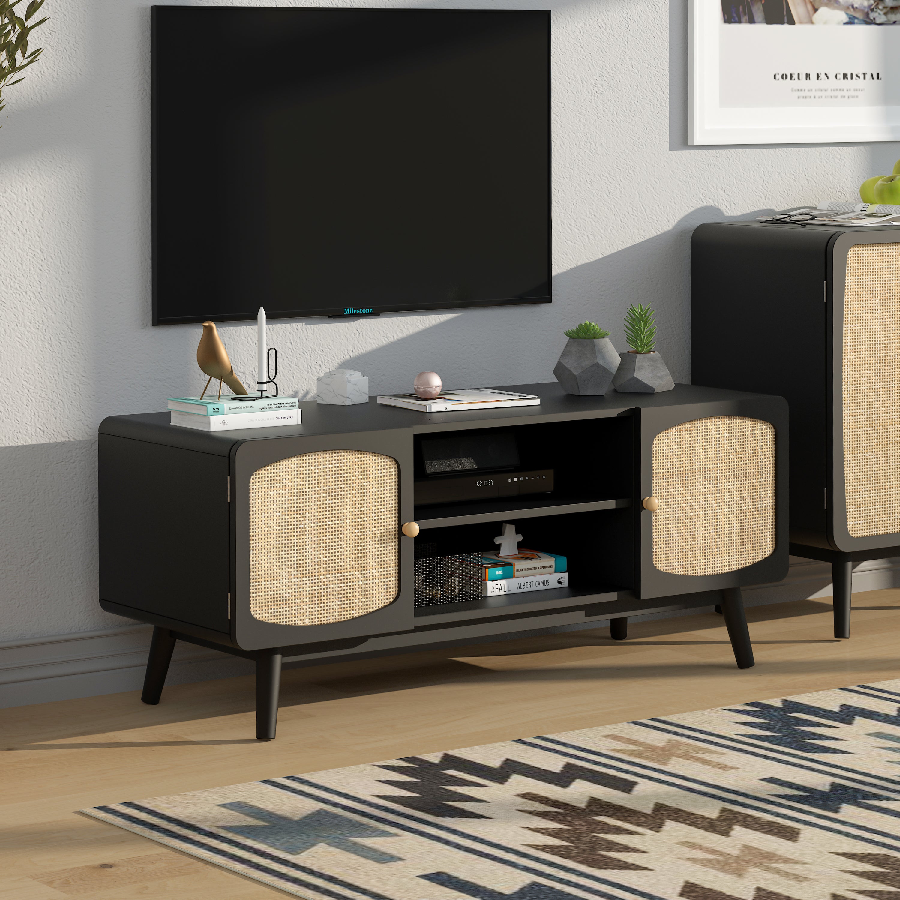 Rattan Door TV Console