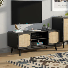 Rattan Door TV Console